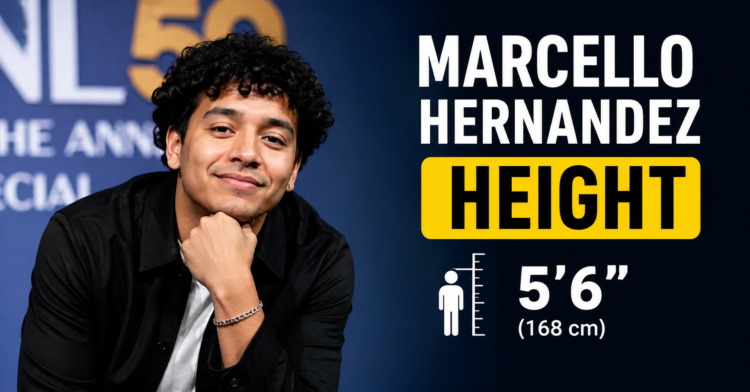 marcello hernandez height